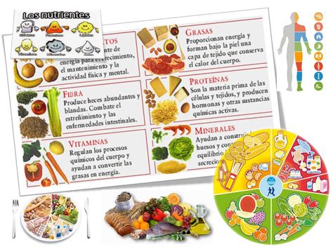 Los Nutrientes De Los Alimentos