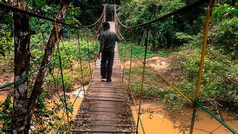 Wisata Taman Nasional Kutai