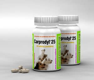 Carprodyl 25 Carprofeno Antiinflamatorio AINE