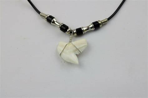 Tiger Shark Tooth Necklace