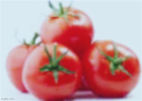 Tomato Imgflip