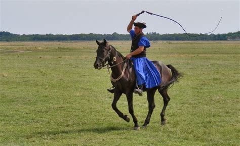 Hungarian Horseman Hungary History Horseman Horses