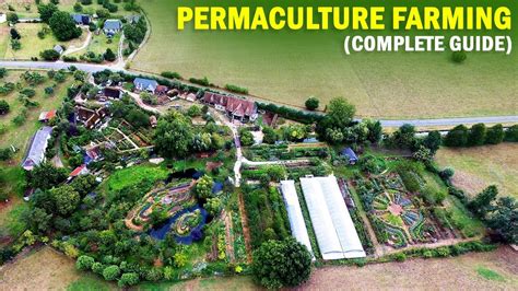 Permaculture Farming (Permanent Agriculture) | Complete Guide | Permacul...