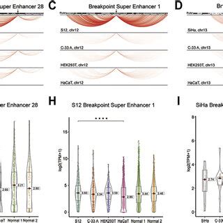 The Long Range And Strong Intra Chromosomal Contacts Of The Five