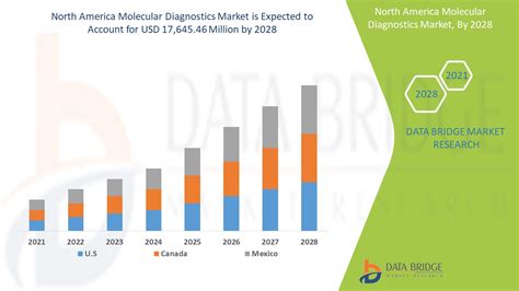 North America Molecular Diagnostics Market Report Industry Trends And