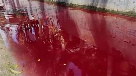 Geger Air Sungai Di Pamekasan Berubah Jadi Merah