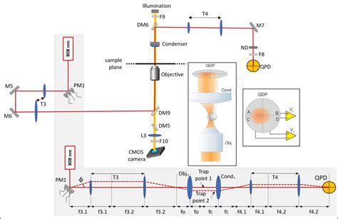 Schematic Of The Optical Manipulation Part Of The Experimental