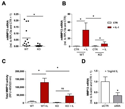 Cells Free Full Text Mia Cd Rap Regulates Mmp13 And Is A Potential New Disease Modifying