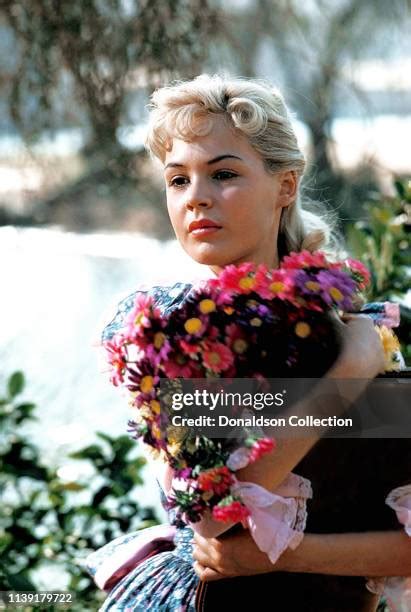 Sandra Dee Photos And Premium High Res Pictures Getty Images