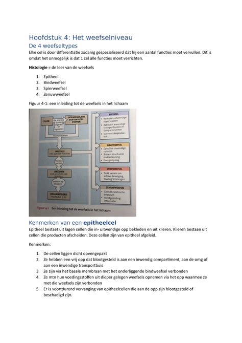 Hoofdstuk 4 Het Weefselniveau Hoofdstuk 4 Het Weefselniveau De 4
