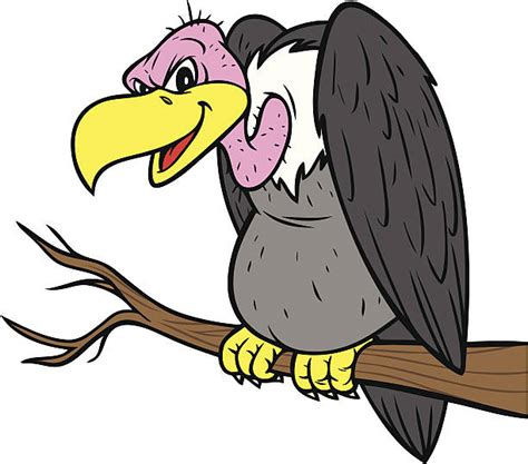 Vulture Clipart Free