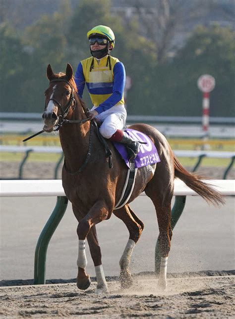 【浦和11r・さきたま杯】エアスピネル 地方初参戦で貫禄vへ― スポニチ Sponichi Annex ギャンブル