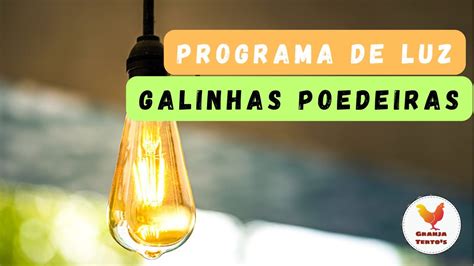 Programa De Luz Para Galinhas Poedeiras YouTube