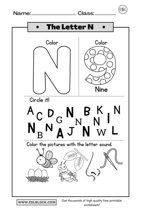 Tracing the Letter N Worksheets | Letter n worksheet, Alphabet ...