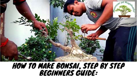 How To Make Bonsai Step By Step Beginners Guide Youtube