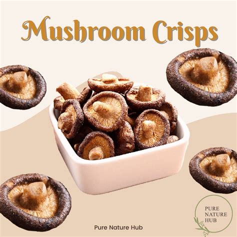 Crispy Mushroom Crisps Cendawan Shiitake Healthy Snacks Dried Mushroom