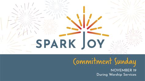 Spark Joy 2024 Stewardship Campaign