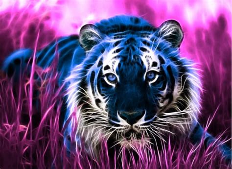 Blue Tiger Wallpapers Wallpaper Cave