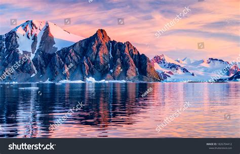 29,563 Iceberg animal Images, Stock Photos & Vectors | Shutterstock