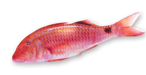 Buy Danube Sultan Ibrahim Fish 1kg and Meat, Poultry & Seafood online ...