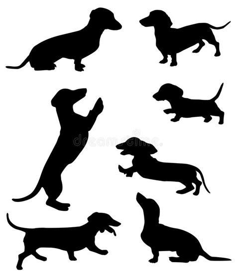 Long Haired Dachshund Silhouette Stock Illustrations 31 Long Haired Dachshund Silhouette Stock