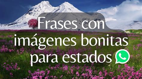 Frases Con Imágenes Bonitas Para Estados Ver Ahora Youtube