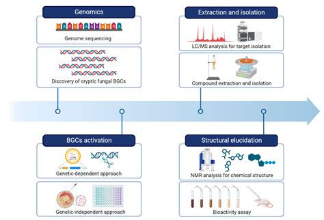 Separations Free Full Text Strategies For Natural Product Discovery