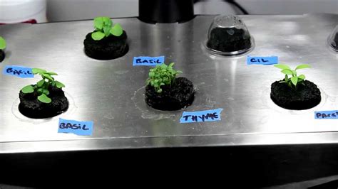 Make Your Own Aerogarden Seed Pods DIY Seed Pod Kits YouTube