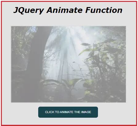 jQuery Animate Function with Examples - Dot Net Tutorials