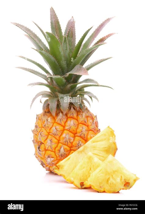 Tropische Frucht Einer Ananas Oder Ananas Isoliert Auf Weißem