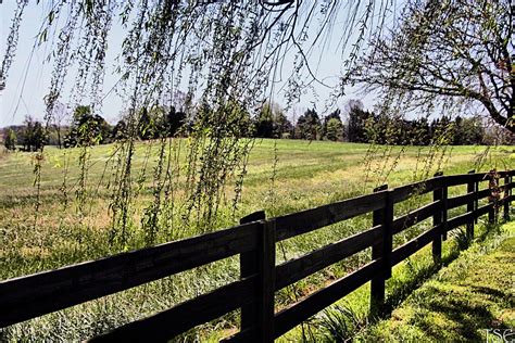 Is The Grass Really Greener On The Other Side Of The Fence Flickr