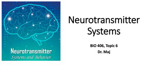 Wk 6 Lecture 1 Neurotransmitter Systems Diagram Quizlet