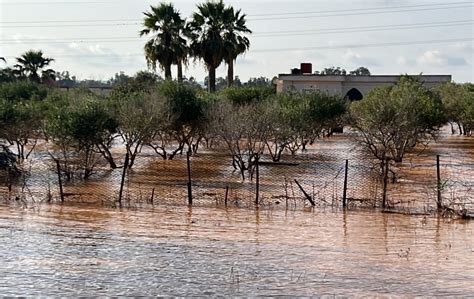 Libya: Lift restrictions on media and facilitate relief efforts in wake ...