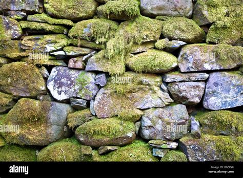 Dry Stone Wall Stock Photo Alamy