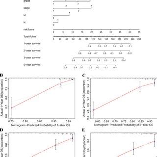 Construction and verification of the nomogram. (A) Nomogram combining ...