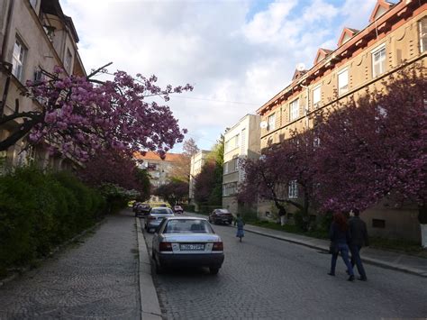 Sakura - Úzhgorod | Fernando Martin | Flickr