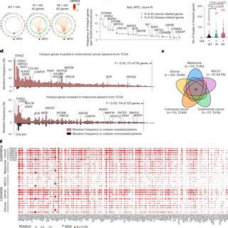 Rad Depletion Causes Dna Breaks And Translocations In K Cells A