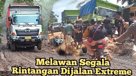 Driver Truk Batubara Berjuang Melawan Segala Rintangan Di Jalur Extreme