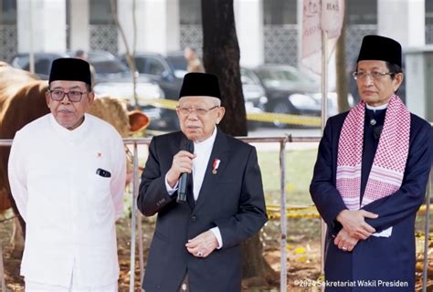 Wapres Maruf Amin Serahkan Hewan Kurban Sapi Ton Di Masjid