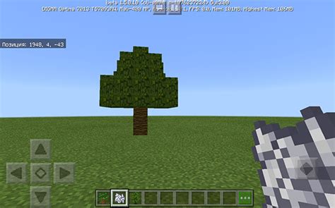Как вырастить тёмный дуб в Minecraft