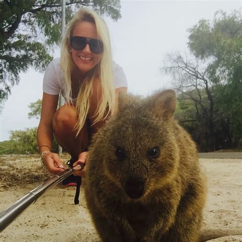 Quokka Selfie at Rottnest Island – #QuokkaSelfie | Mangoes World