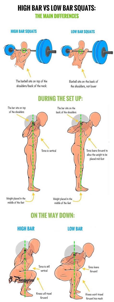 Squat High Bar Vs Low Bar Which Builds More Muscle Images