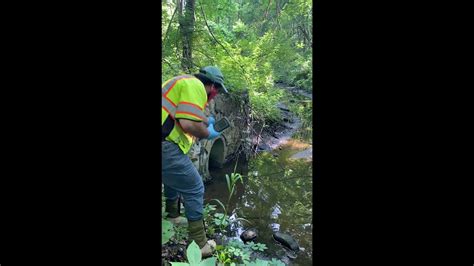 Stormwater Sampling In Burlington MA YouTube