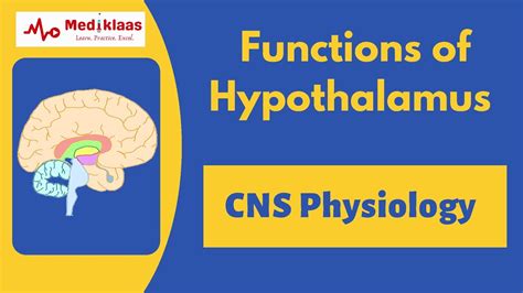 Functions of Hypothalamus | Nerurology | Physiology | Mediklaas - YouTube