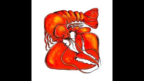 Artisticus 255 The Red Lobster Ocean Digital Art Drawing