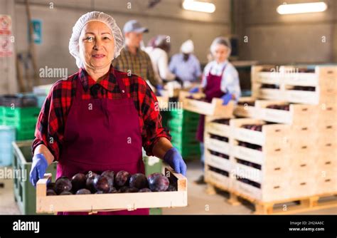 Mature Woman With Box Full Of Plums In Warehouse Stock Photo Alamy