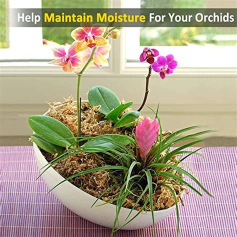 Oz Orchid Sphagnum Moss Dried Peat Moss For Potted Plants Mix Soil