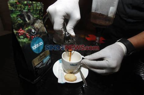 Fakta Menarik Hewan Luwak Penghasil Kopi Termahal Di Dunia