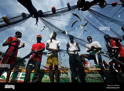 Fishing At A Beach Outside Freetown In Sierra Leone Stock Photo Alamy