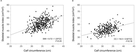 The Sexspecific Correlation Between The Skeletal Muscle Index Smi